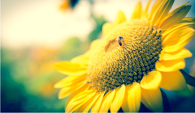 1688304957544009.jpg 1688304957544009.jpg